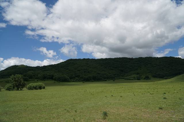 51rbq.cn 华为应用市场等）下载海报