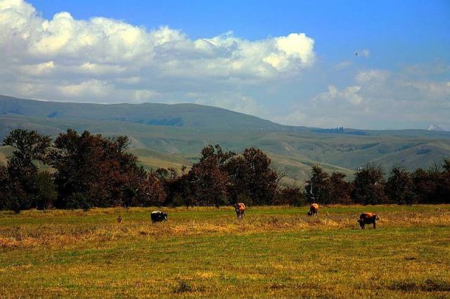 寸止挑战入门 寸止切勿一开始就挑战极限