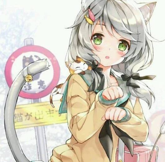 rina视频 视频视频如果你有其他问题