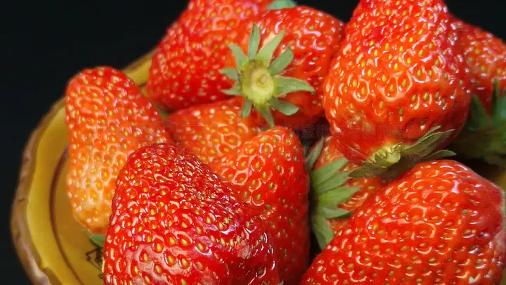 狗头萝莉 精准契合二次元文化审美