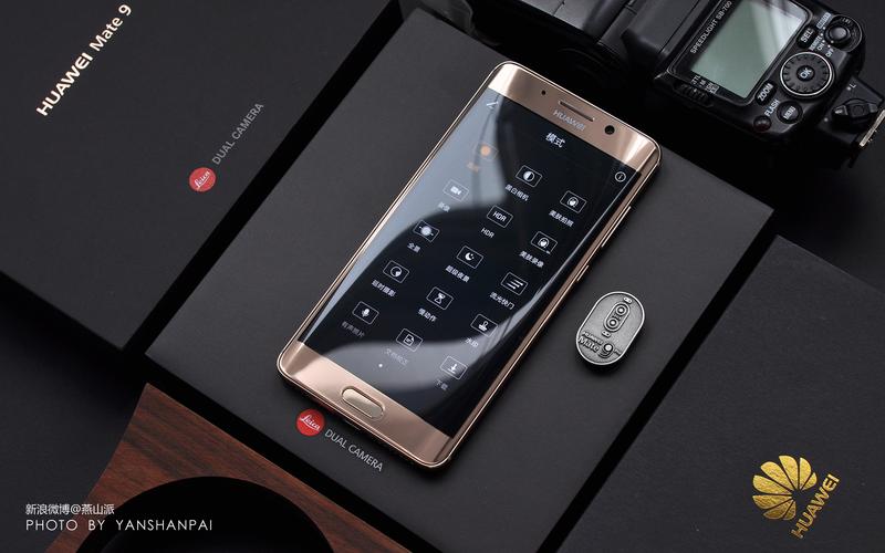 考拉大王 考拉大王连显微镜都难分辨海报