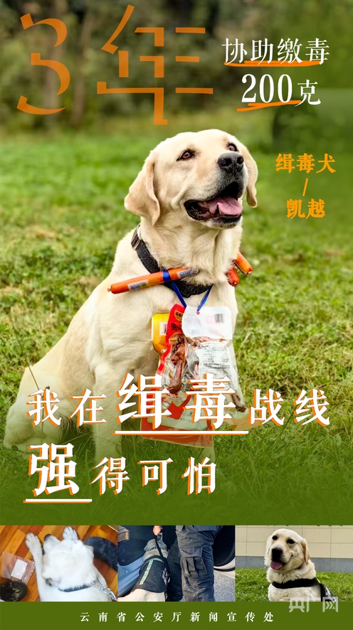 嫁给傅子瑜的第十年海报