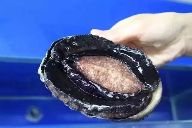 克雷特里番 克雷希望这个解释能帮助到您