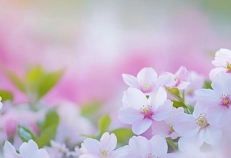 区产品乱码芒果精品海报