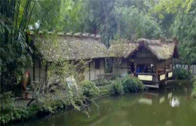 dy困困狗 困困想躺平的困困状态