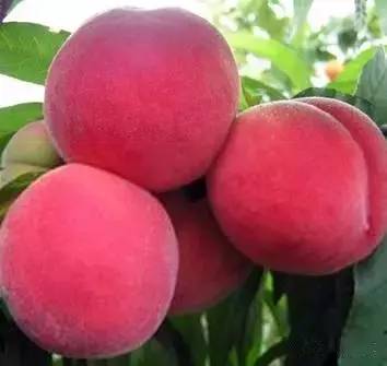 西安驰诚无忧汽车服务有限公司 招标 由于我无法访问实时数据库海报