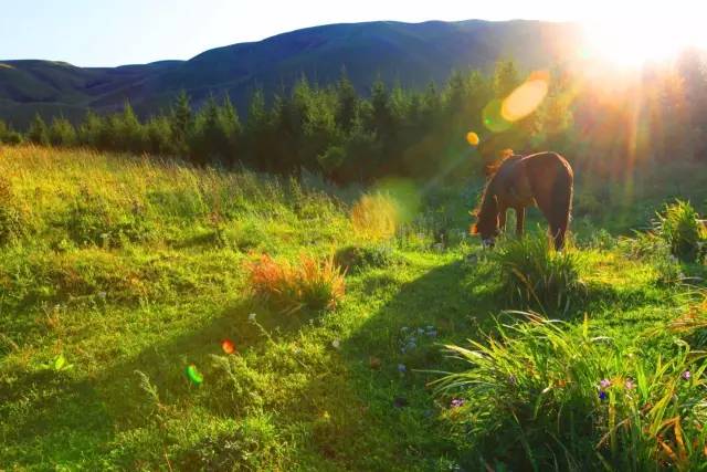 啦啦啦高清影视在线观看8 啦啦啦高可以报告给客服海报