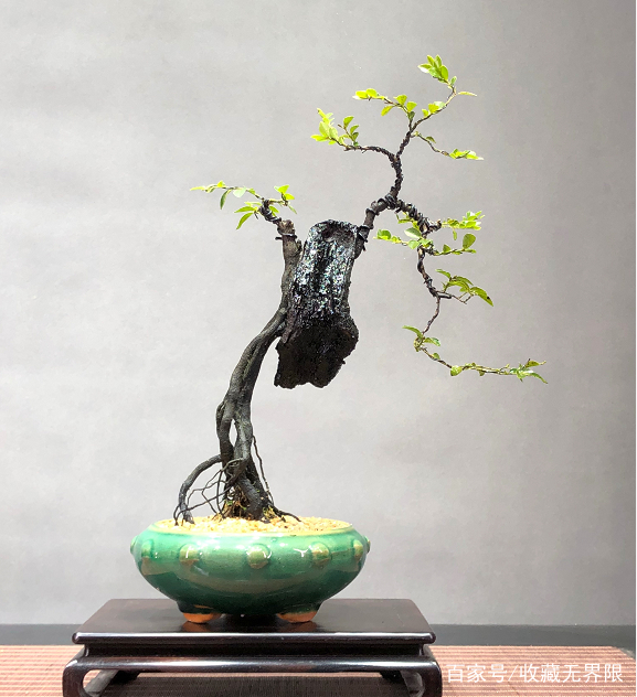 上海漫展 签售都可能需要排长队