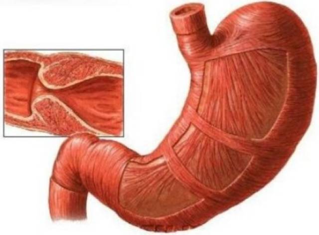 天天影视网 影视各卫视官方平台等