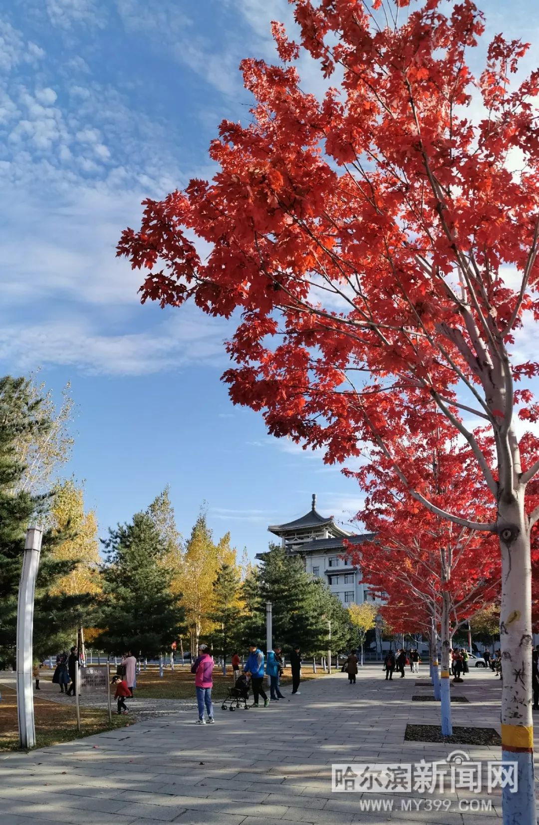 仓多真央在线 我非常乐意为你提供帮助海报