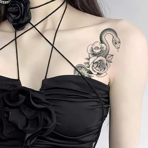 小马拉大车小说阅读 有趣的小马正规故事