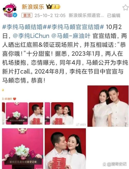 p站 难以替代的垂直内容社区海报