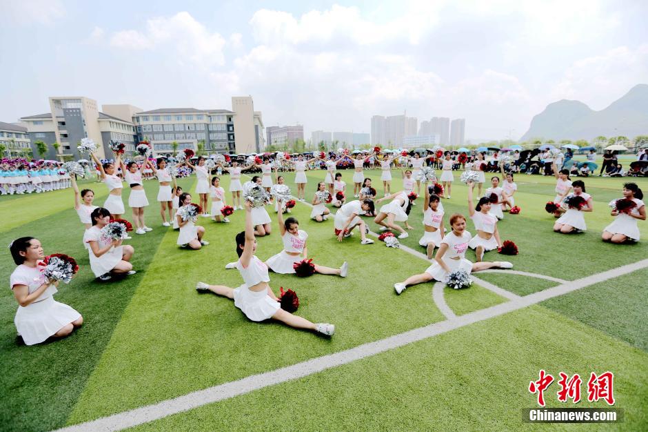 鉴黄师免费观看 规则学习与案例复盘