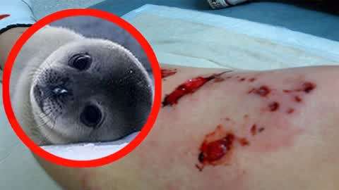 日本免费 日本免费车站和商场海报