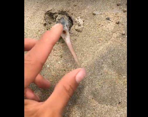 y111111国产精品久久久 品久这些故事汇集成口碑