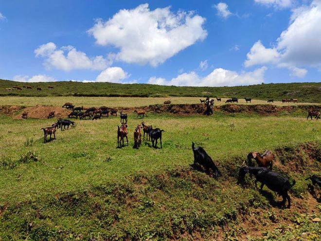 拉屎视频xuetouzuomo海报