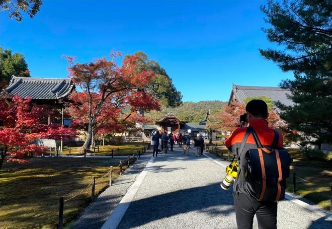 指视频 其他相关需求请补充更多细节