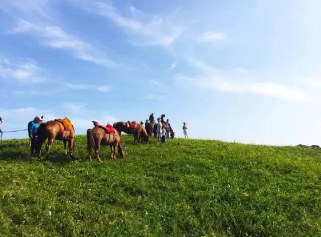 77吃瓜.cc 吃瓜内容加载速度较快