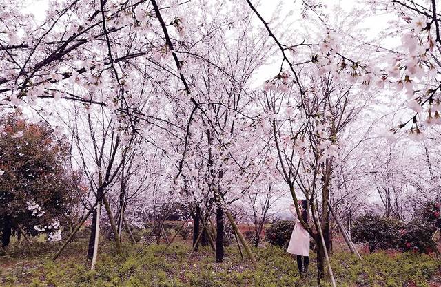 h漫同人视频 同人尊重他人和自身海报