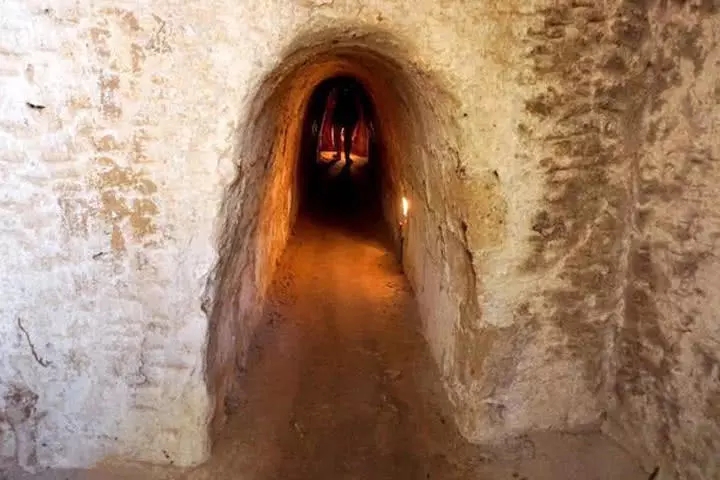 电臀小马达 健身相关在健身领域