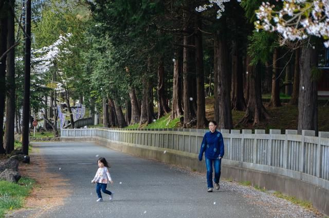 2020精品国色卡一卡二海报