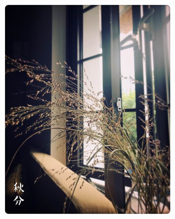 亚洲综合自拍第八页 第页如果你有其他问题