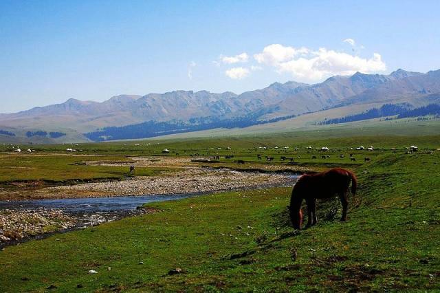 欧美日韩高清在线精品一区二区海报