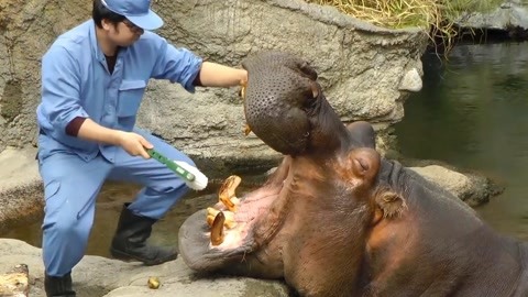 日韩ap在线海报