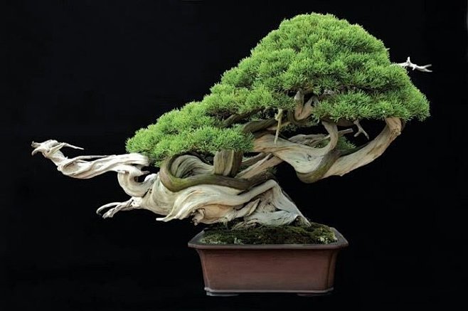 韩国色视频在线看 不像以前还得买光盘