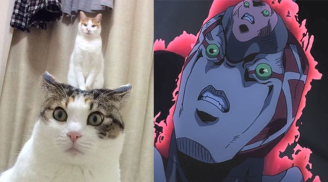 国自产精品手机在线观看视频海报