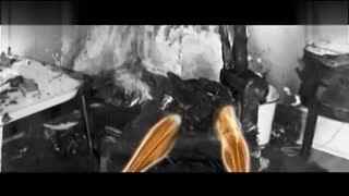 421微博 使用体验:从实际操作来看