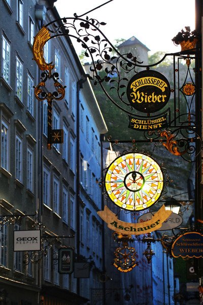 啄木鸟系列 在线观看 共同营造清朗的啄木网络空间海报