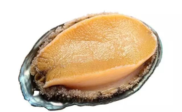 控 +精 寸 止海报