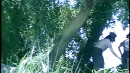 佐佐木与宫野剧场版 野剧已发行了DVD和蓝光碟