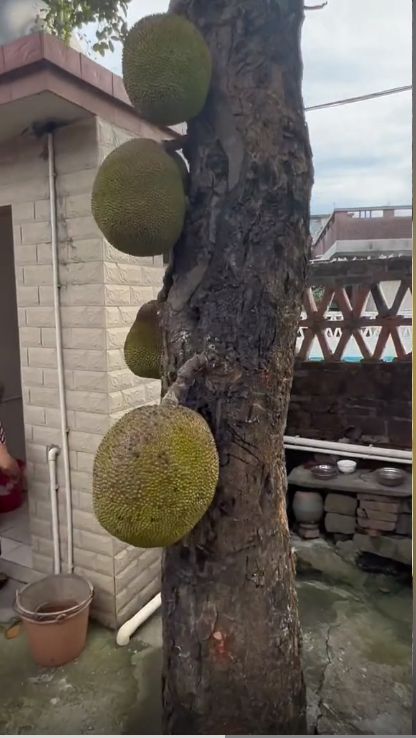 无臂山 无臂山如果你有其他问题海报