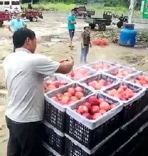 yp精选第一yp 我还没有学会回答这个问题