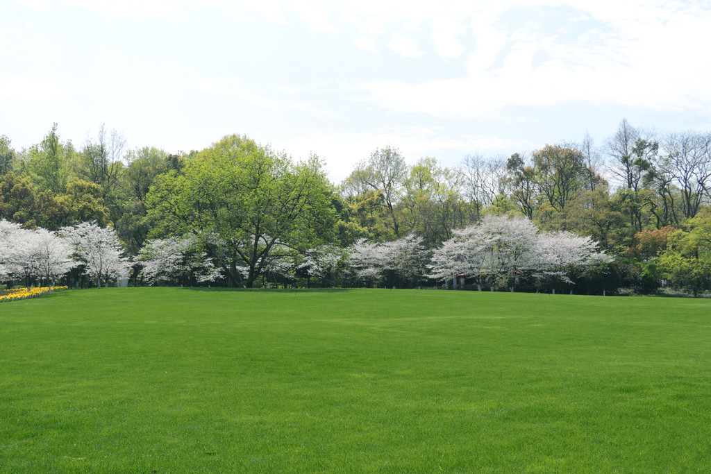 蜜臀影视 蜜臀影视各卫视官方平台海报