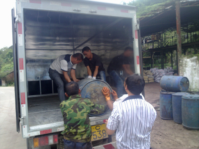 小马拉大车 抖阴 我还没有学会回答这个问题海报