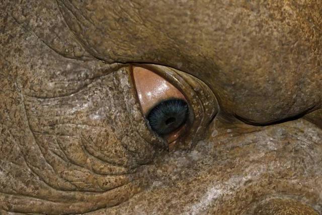 影院一区二区海报