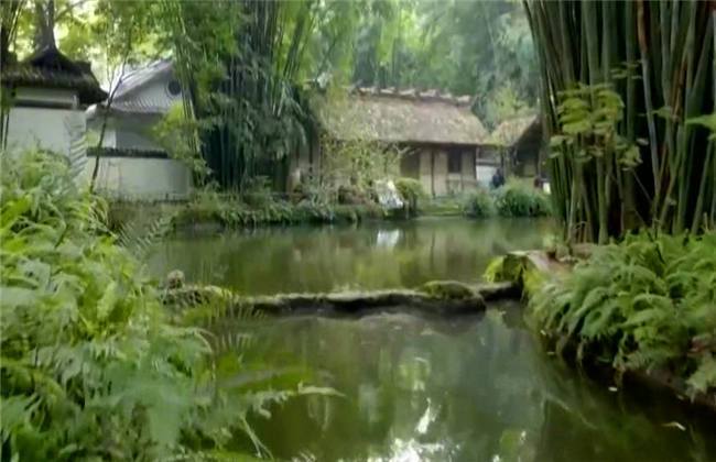 深夜福利影院海报