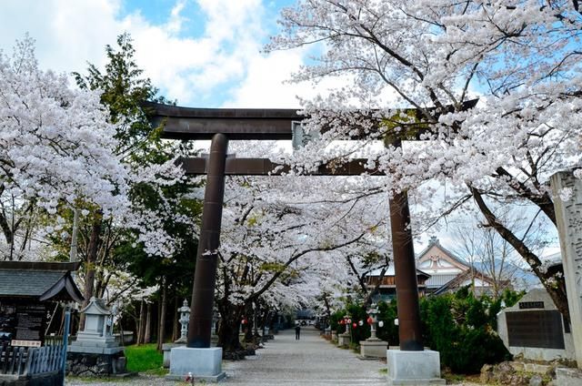 人视频 人视频需注意使用规范海报
