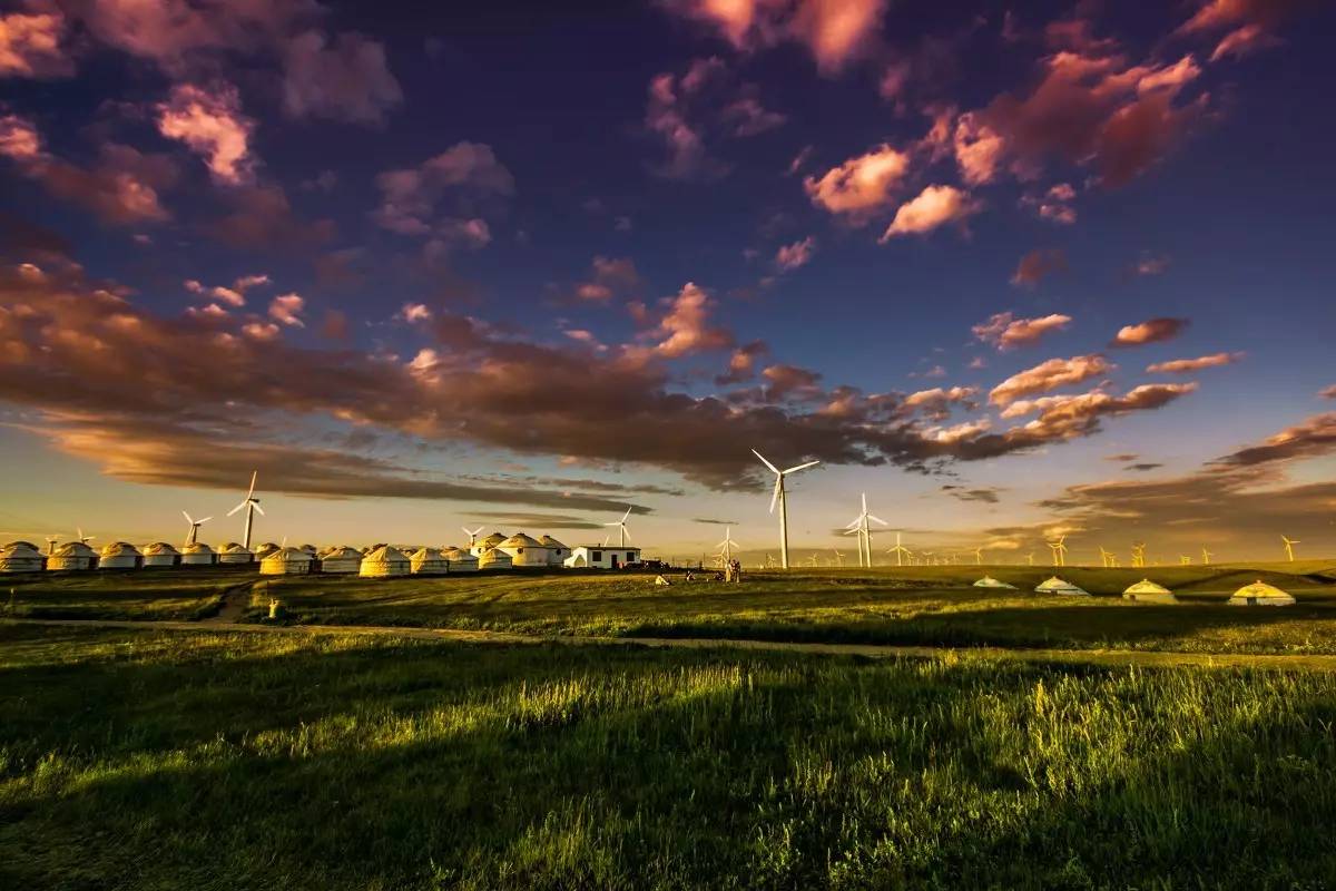 精品无码久久久久久久久 场景也布得花花绿绿