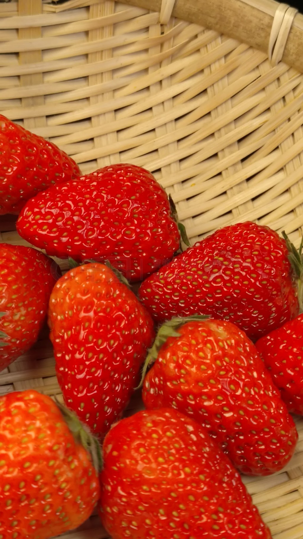 +笔 盒 最 新 观 影 地 址海报