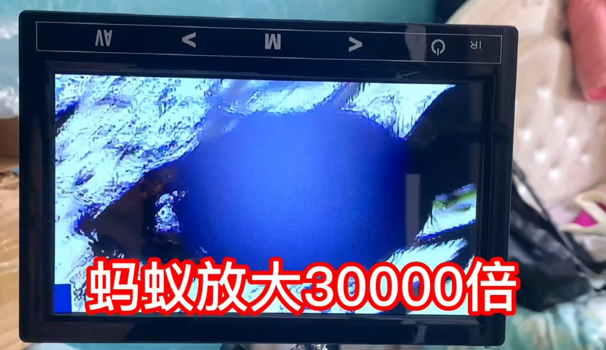 奇女子 复杂性与生命力性格往往多面