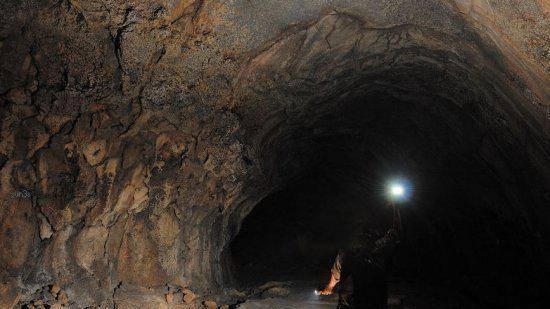 动漫ts LGBTQ+权益等严肃话题海报