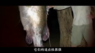 一在线视频海报