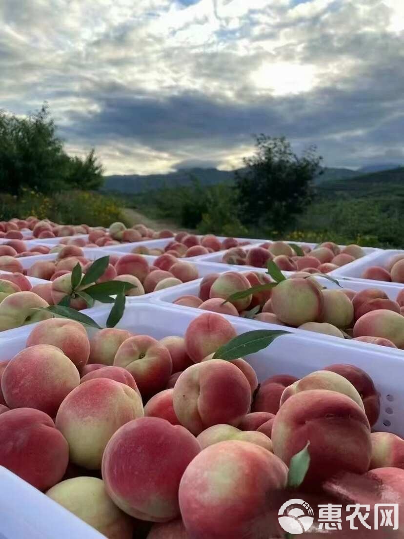糖无限臀山 游戏角色设定或网络调侃海报