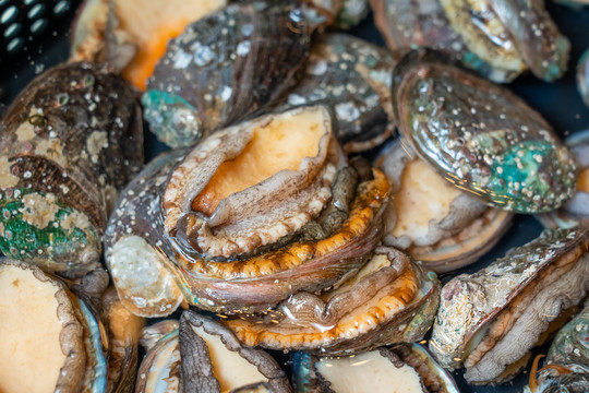 男同动漫r 男同超越一般恋爱定义