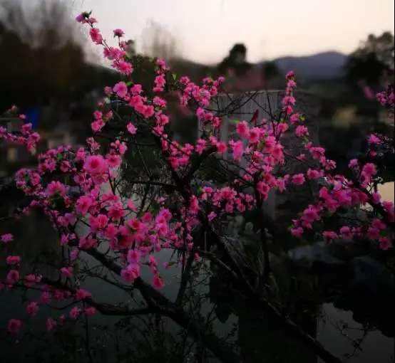 在线播放区海报