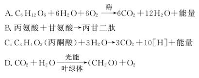 M错了夹纸罚站 夹纸比劈头盖脸骂一顿强多了